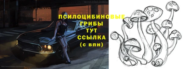 mix Вяземский