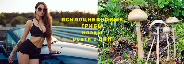 хмурый Вязьма