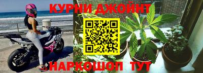 ГАЛЛЮЦИНОГЕННЫЕ ГРИБЫ Гатчина