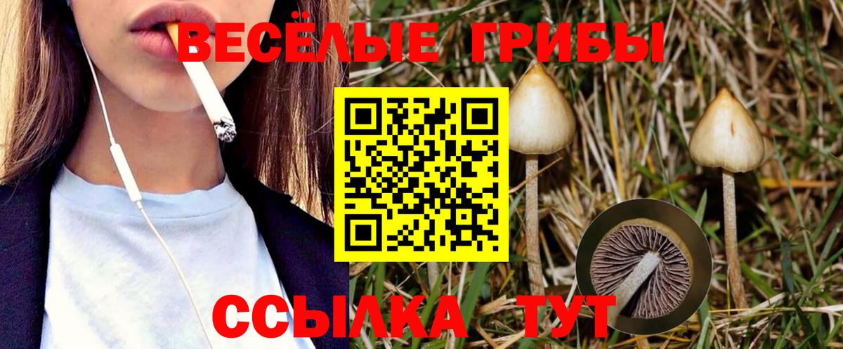 Галлюциногенные грибы Magic Shrooms Джанкой