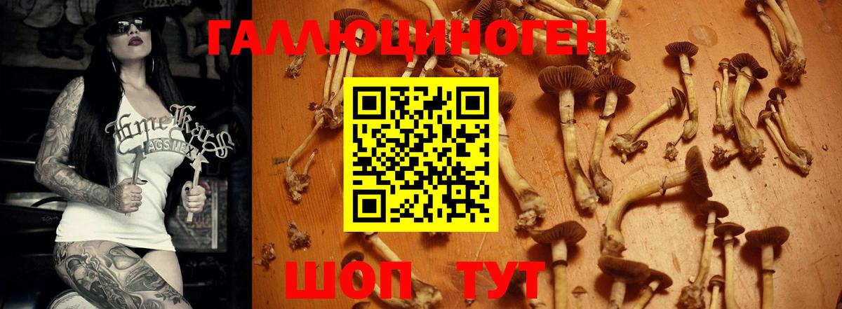 Псилоцибиновые грибы ЛСД  Джанкой  Псилоцибиновые грибы Psilocybe 